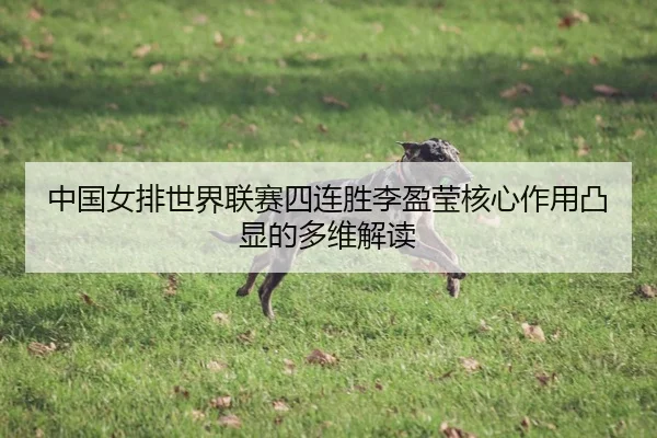 中国女排世界联赛四连胜李盈莹核心作用凸显的多维解读